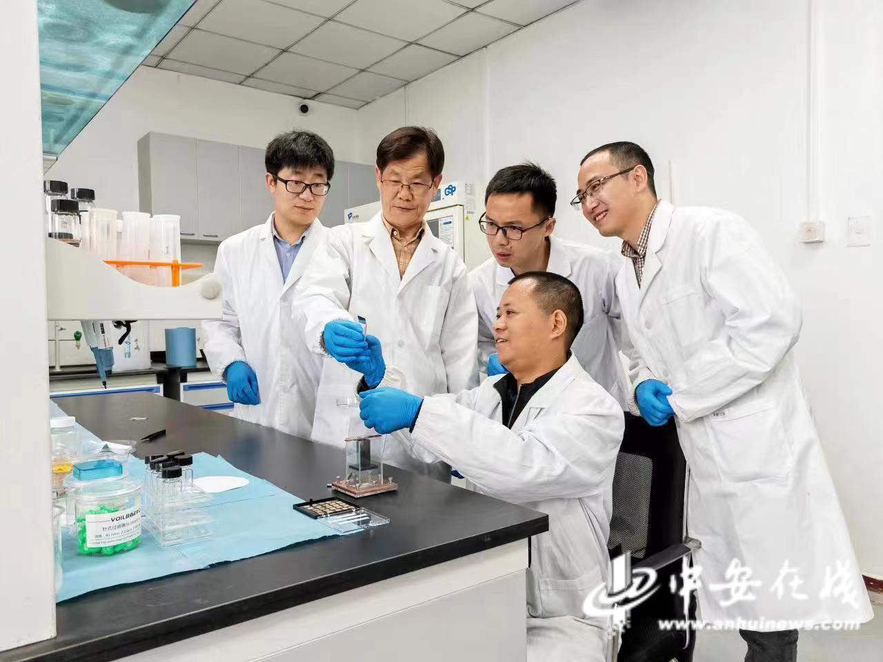 【大力实施米乐 M6米乐人才兴皖工程 加快打造人才发展和创新高地】(图1)
