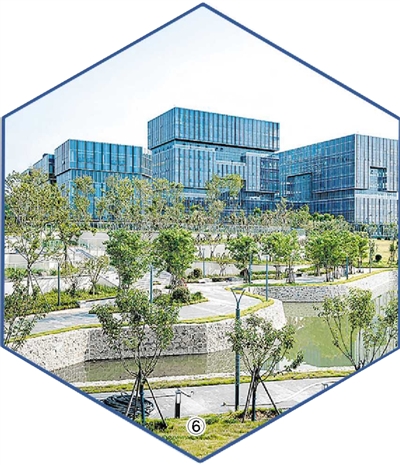 青岛：走区市进现场米乐M6 米乐看项目见成效(图6)