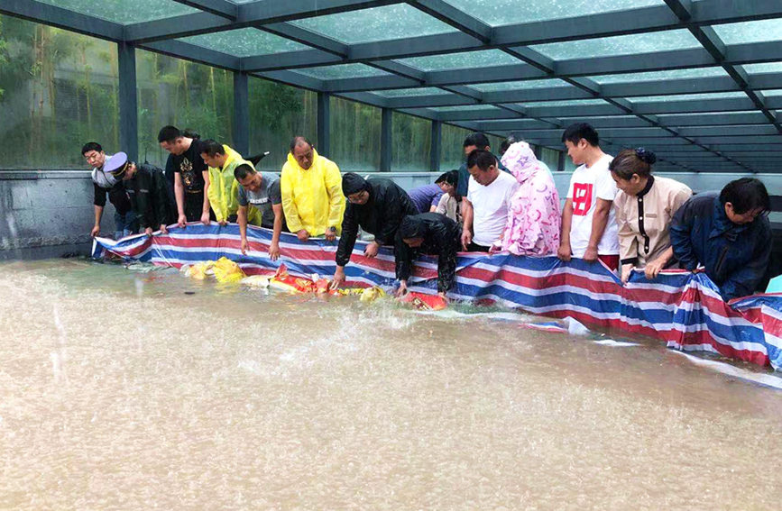 米乐 M6米乐@全国业主暴雨当前如何保护地下车库？转发给你的小区物业(图1)