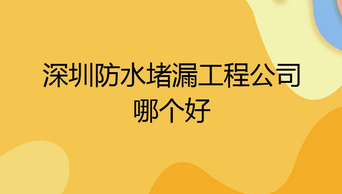 深圳防水堵漏工程公米乐 M6米乐司哪个好？(图1)