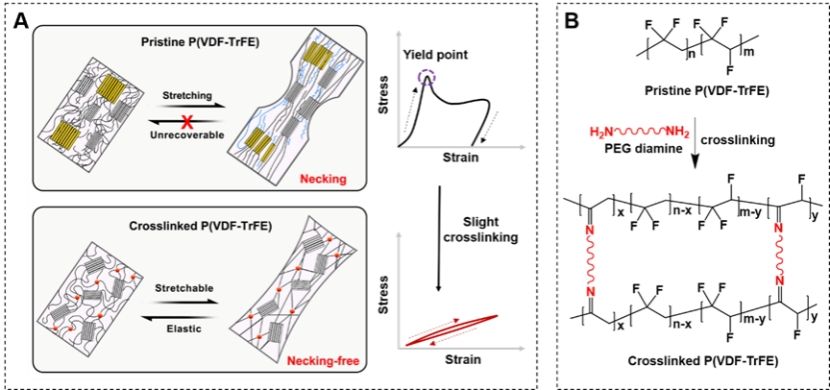中国科大纳米科学技术学院硕士生在《科学》上以第一作者发表论文米乐M6 米乐(图1)