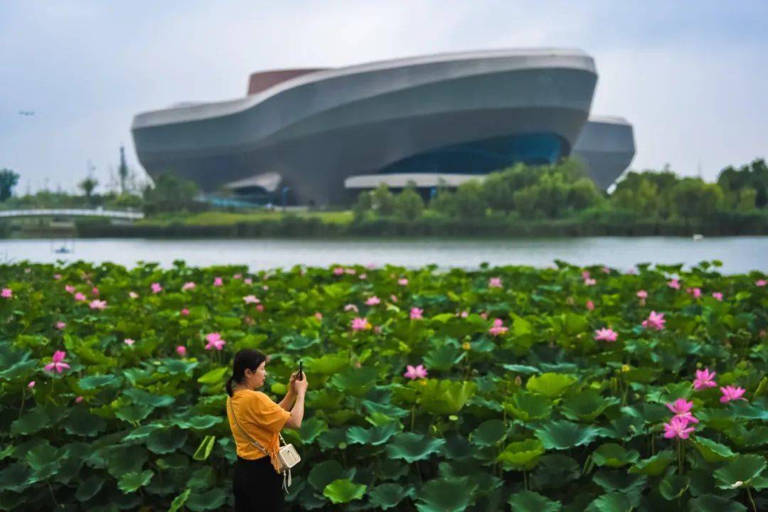 米乐M6 米乐市委书记与千名学子面对面聊了啥？(图7)