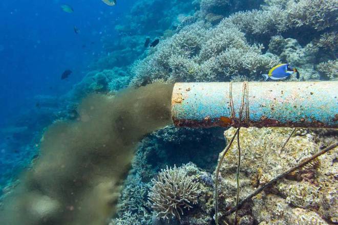 米乐 M6米乐日本启动核污水排海引广泛争议我国沿海面临风险如何科学应对(图4)