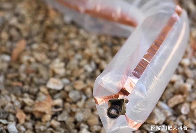 美国软体机器人研究开始关注新米乐M6 米乐型柔性材料实现更复杂的形变运动(图8)
