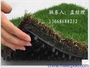 米乐M6 米乐合肥防水板价格-塑料防水板厂家(图2)
