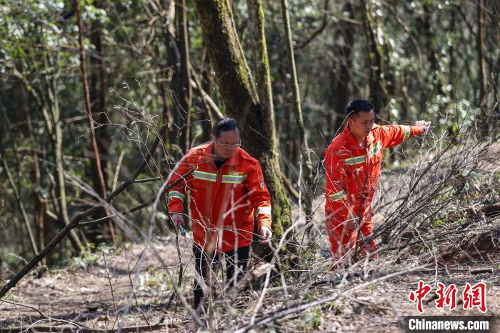 贵州汇川：护林员陈正华“以林为家”坚守林场25年(图4)