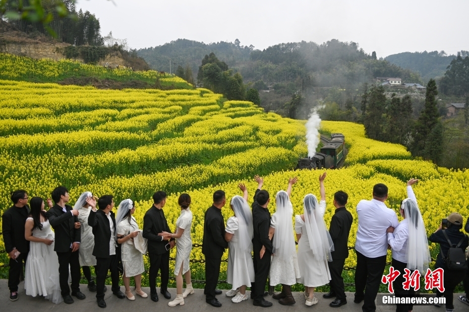 穿行在油菜花海 四川犍为开往“春天的火车”迎客忙(图5)