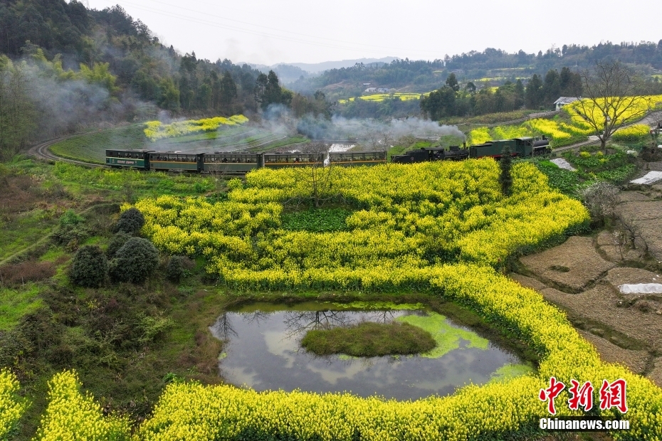 穿行在油菜花海 四川犍为开往“春天的火车”迎客忙(图3)