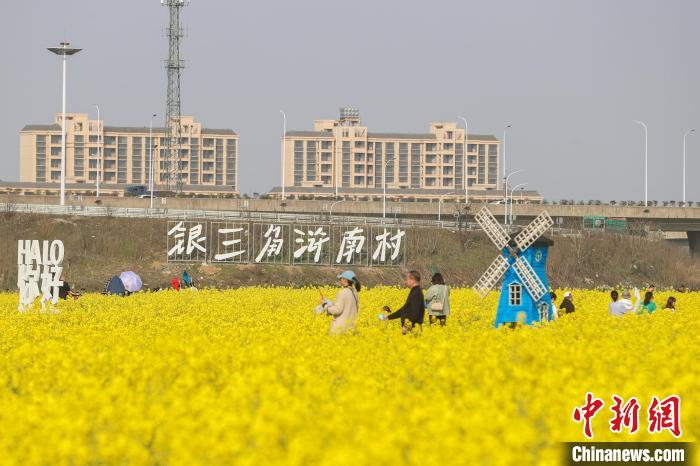 江西南昌：金色油菜花迎春绽放 铺满大地绘就秀美乡村画卷(图2)