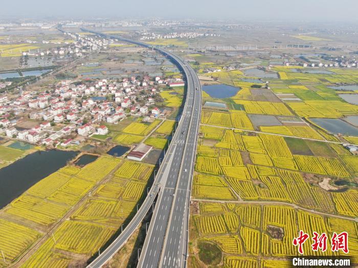 江西南昌：金色油菜花迎春绽放 铺满大地绘就秀美乡村画卷(图8)