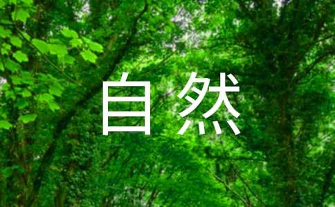 大自然中有哪些纳米功能材料(图1)