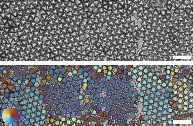 斯坦福大学工程师用3D打印技术制造出数以万计特殊形状的纳米粒子(图1)
