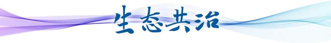 卫星视角看中国丨跟随足迹看长三角之变(图5)