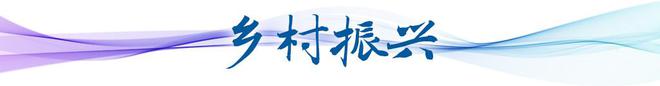 卫星视角看中国丨跟随足迹看长三角之变(图9)
