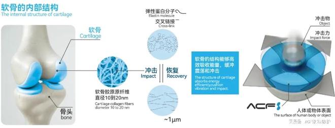 6月19-21日深圳国际新材料展林至科技C010等您来(图4)