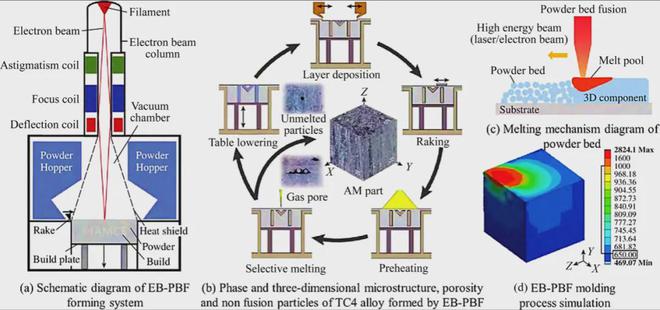 西安理工大学李树丰教授 l 增材制造硼化钛增强钛基复合材料的研究进展(图9)