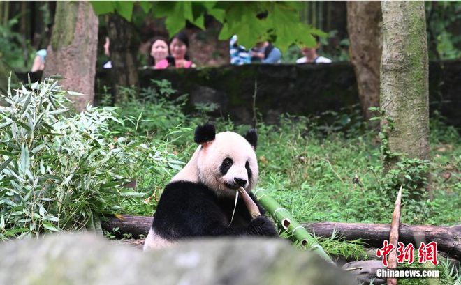 朔州：查处一起卖淫嫖娼案件曹某已被拘！(图5)