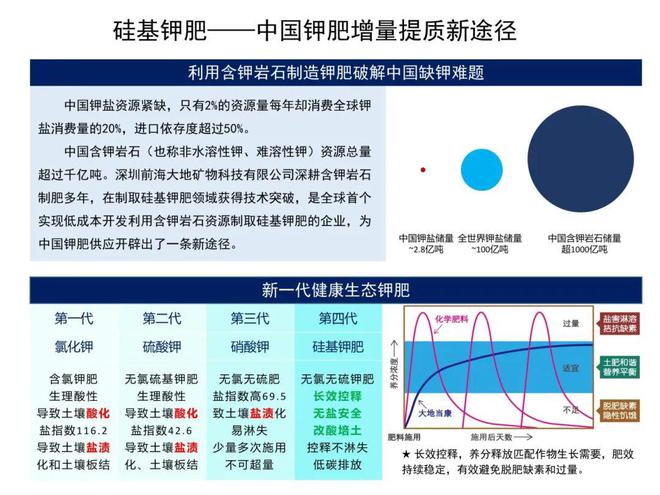 获奖名单公布创新南山2024“创业之星”新材料行业赛决赛圆满落幕(图7)